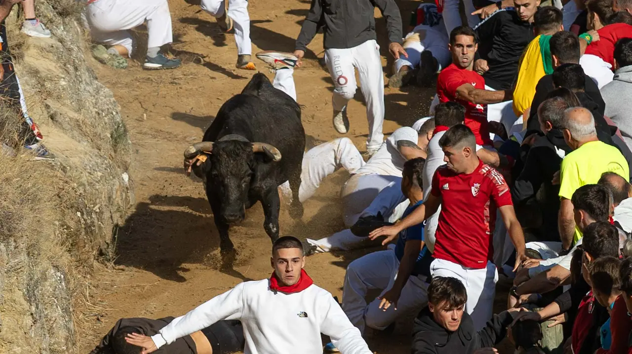 Séptimo encierro del Pilón con vacas de la ganadería Juan José Laparte. Maite H. Mateo..-29