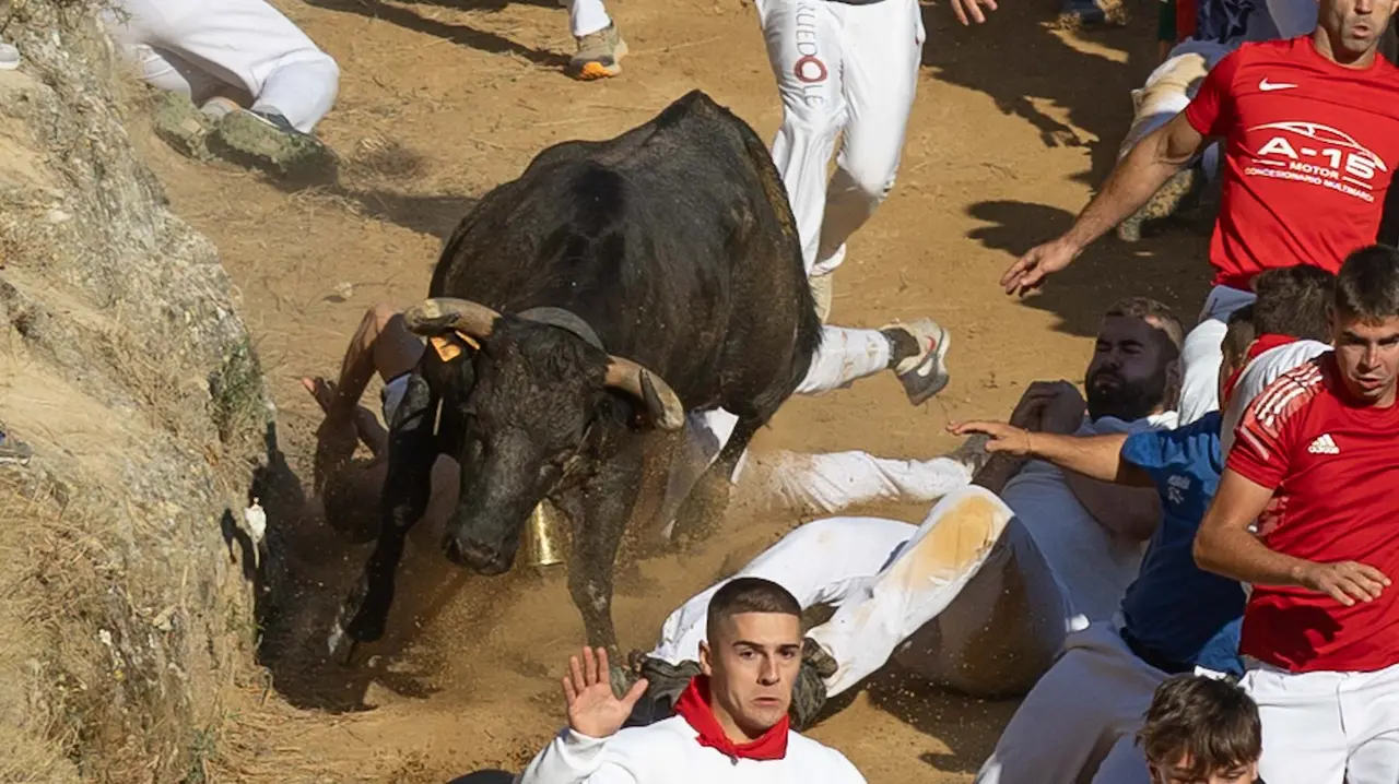Séptimo encierro del Pilón con vacas de la ganadería Juan José Laparte. Maite H. Mateo..-31