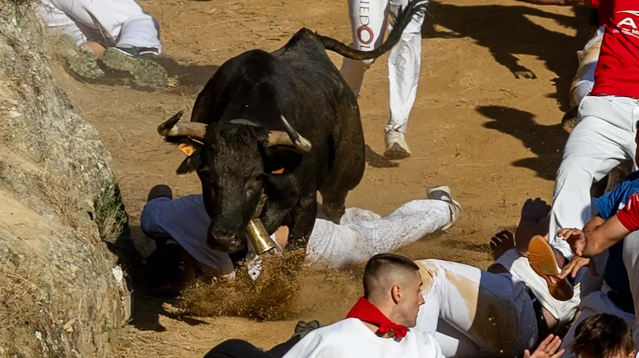 Séptimo encierro del Pilón con vacas de la ganadería Juan José Laparte. Maite H. Mateo..-32