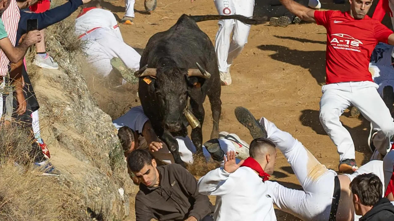 Séptimo encierro del Pilón con vacas de la ganadería Juan José Laparte. Maite H. Mateo..-34