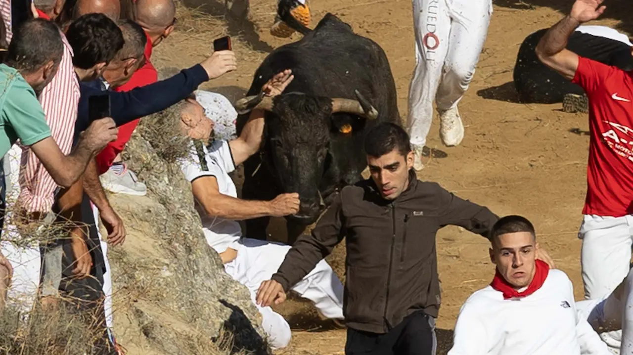 Séptimo encierro del Pilón con vacas de la ganadería Juan José Laparte. Maite H. Mateo..-36