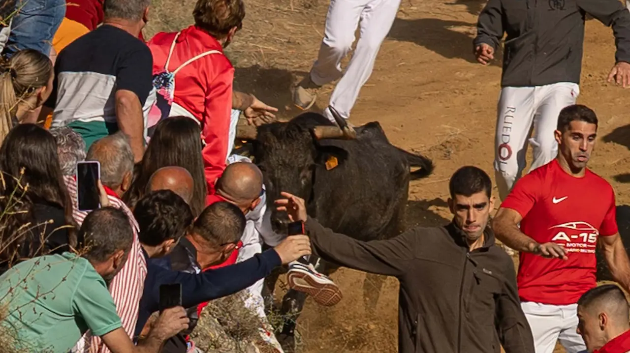 Séptimo encierro del Pilón con vacas de la ganadería Juan José Laparte. Maite H. Mateo..-38