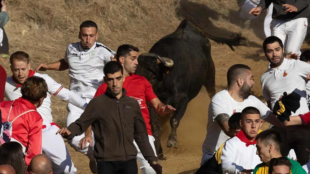 Séptimo encierro del Pilón con vacas de la ganadería Juan José Laparte. Maite H. Mateo..-42