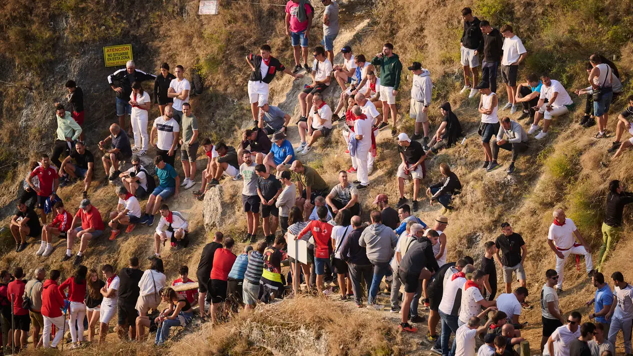 Octavo y último encierro del Pilón en las fiestas de Falces de 2025 con vacas de la ganadería de Teodoro Vergara de Falces. PABLO LASAOSA