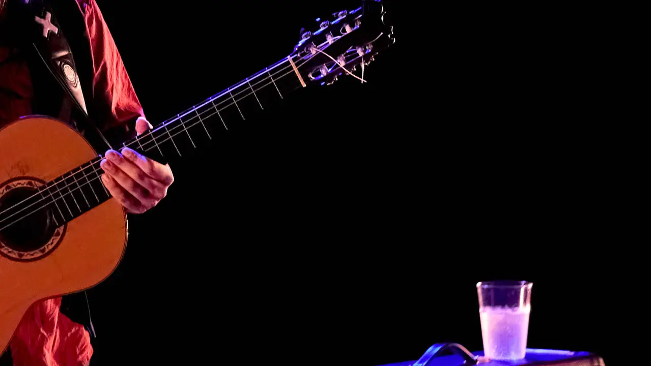 Concierto Esencial de Los Planetas en el auditorio Baluarte de Pamplona durante de la XII edición del festival Flamenco On Fire. IÑIGO ALZUGARAY