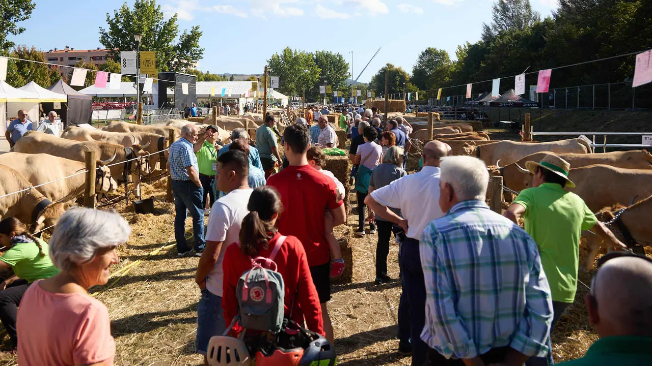 Feria de ganado Autentika de razas autóctonas navarras en el parque de la Runa de Pamplona. IÑIGO ALZUGARAY