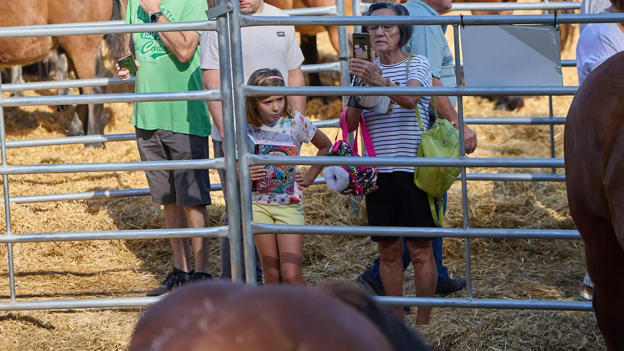 Feria de ganado Autentika de razas autóctonas navarras en el parque de la Runa de Pamplona. IÑIGO ALZUGARAY