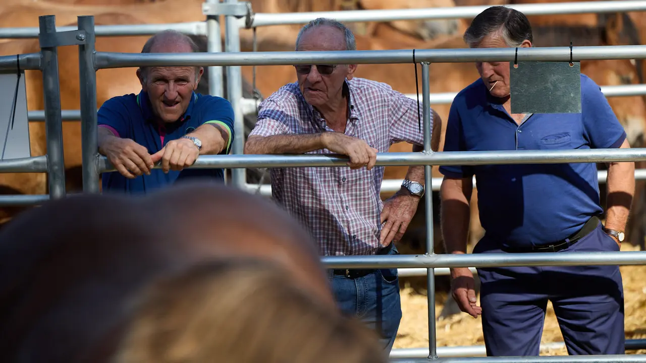 Feria de ganado Autentika de razas autóctonas navarras en el parque de la Runa de Pamplona. IÑIGO ALZUGARAY