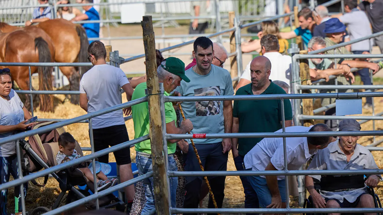 Feria de ganado Autentika de razas autóctonas navarras en el parque de la Runa de Pamplona. IÑIGO ALZUGARAY