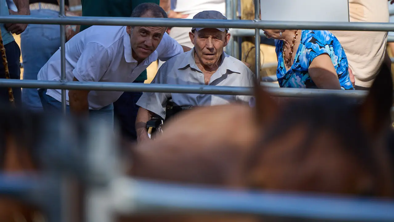 Feria de ganado Autentika de razas autóctonas navarras en el parque de la Runa de Pamplona. IÑIGO ALZUGARAY