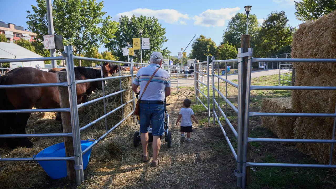 Feria de ganado Autentika de razas autóctonas navarras en el parque de la Runa de Pamplona. IÑIGO ALZUGARAY