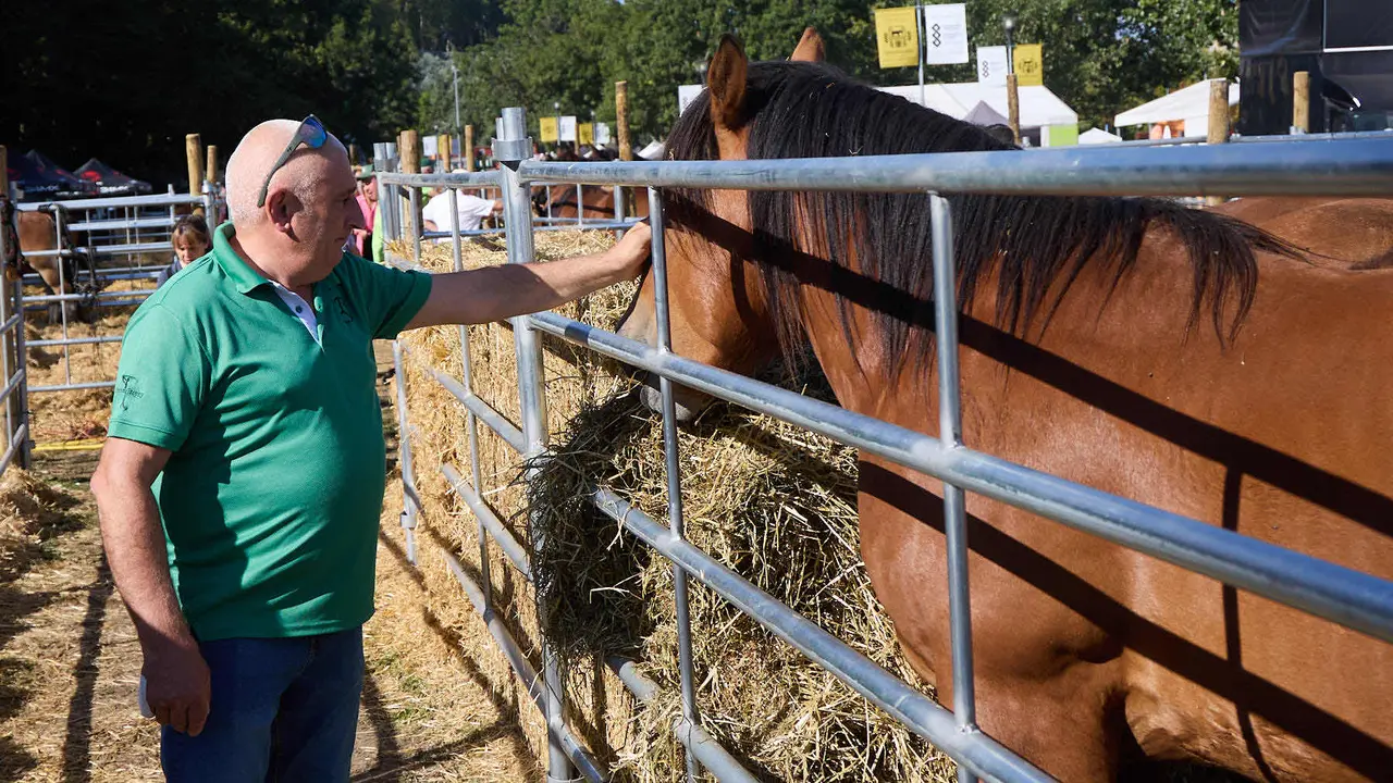 Feria de ganado Autentika de razas autóctonas navarras en el parque de la Runa de Pamplona. IÑIGO ALZUGARAY