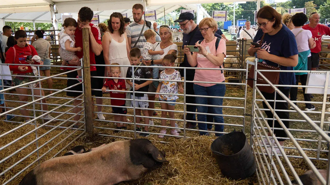 Feria de ganado Autentika de razas autóctonas navarras en el parque de la Runa de Pamplona. IÑIGO ALZUGARAY