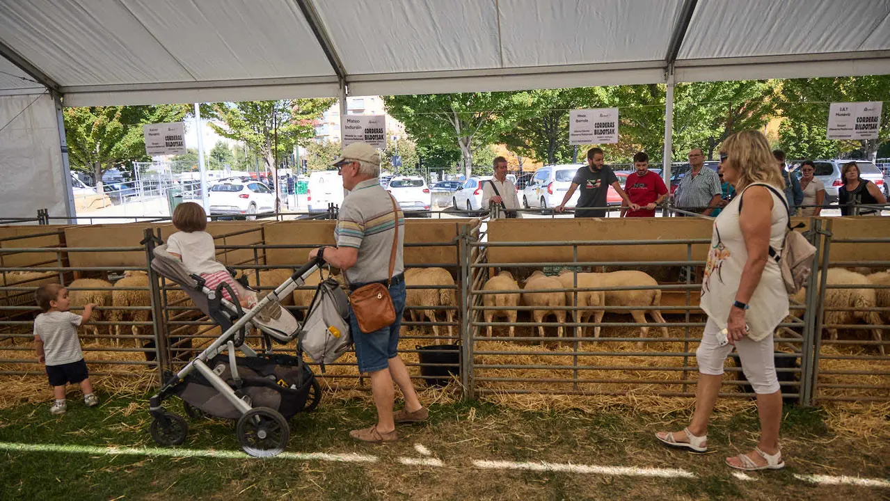 Feria de ganado Autentika de razas autóctonas navarras en el parque de la Runa de Pamplona. IÑIGO ALZUGARAY