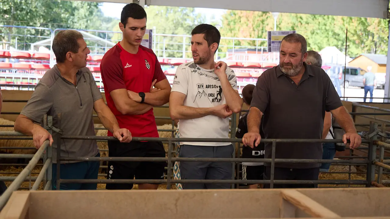 Feria de ganado Autentika de razas autóctonas navarras en el parque de la Runa de Pamplona. IÑIGO ALZUGARAY