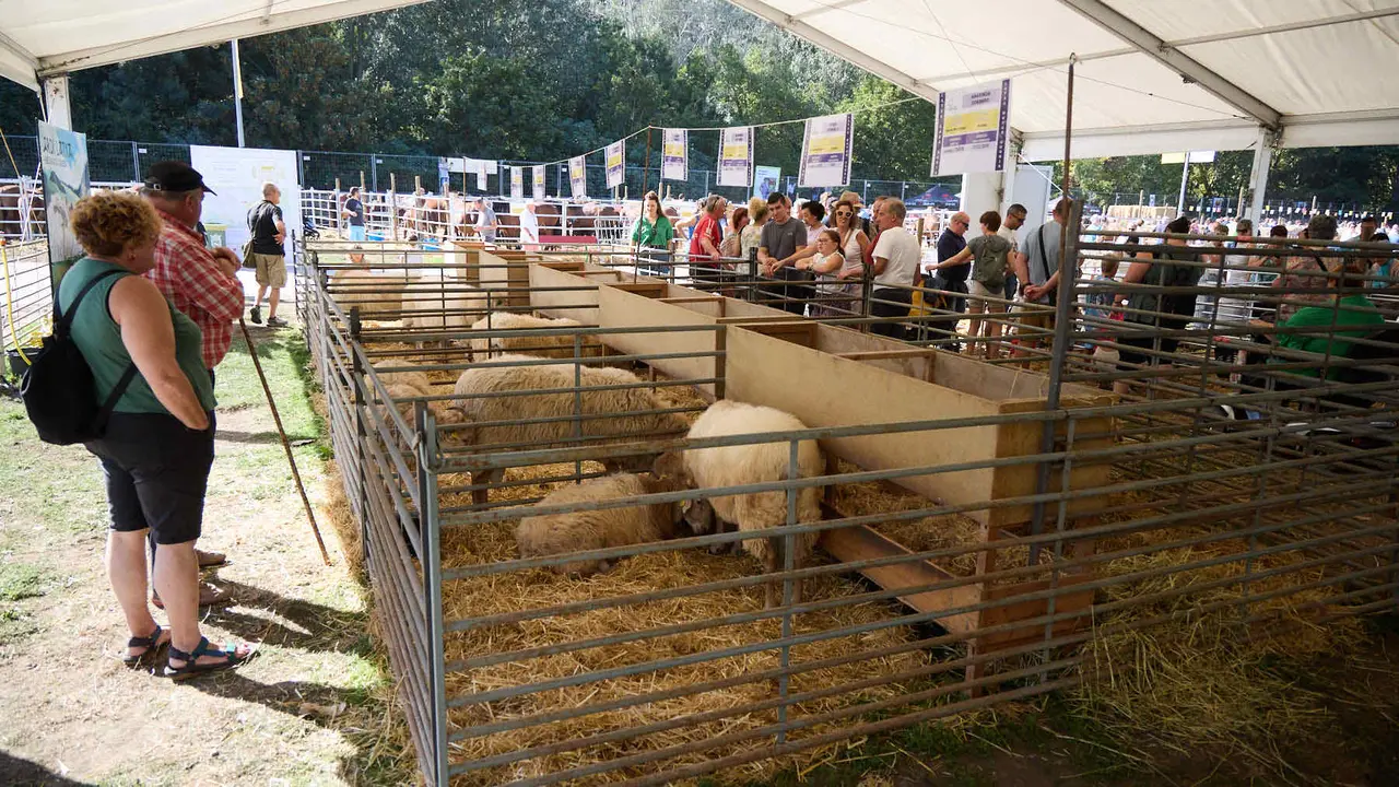 Feria de ganado Autentika de razas autóctonas navarras en el parque de la Runa de Pamplona. IÑIGO ALZUGARAY