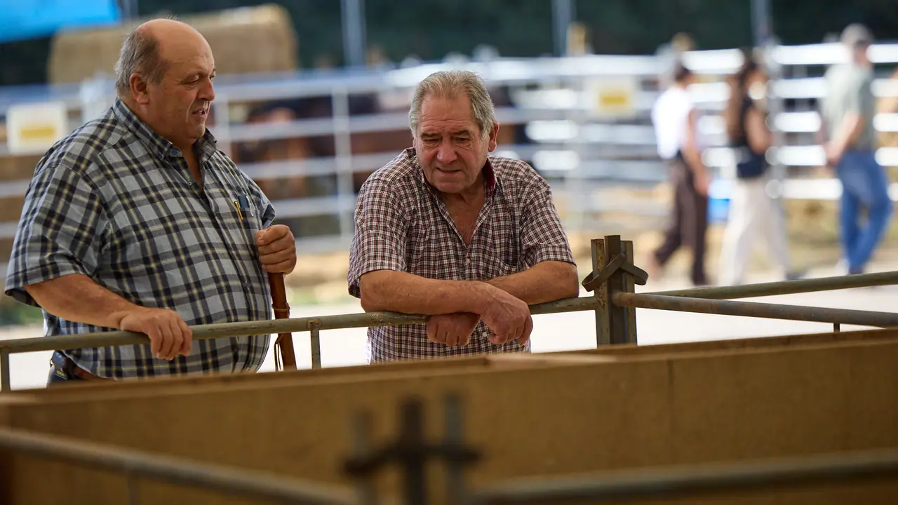 Feria de ganado Autentika de razas autóctonas navarras en el parque de la Runa de Pamplona. IÑIGO ALZUGARAY