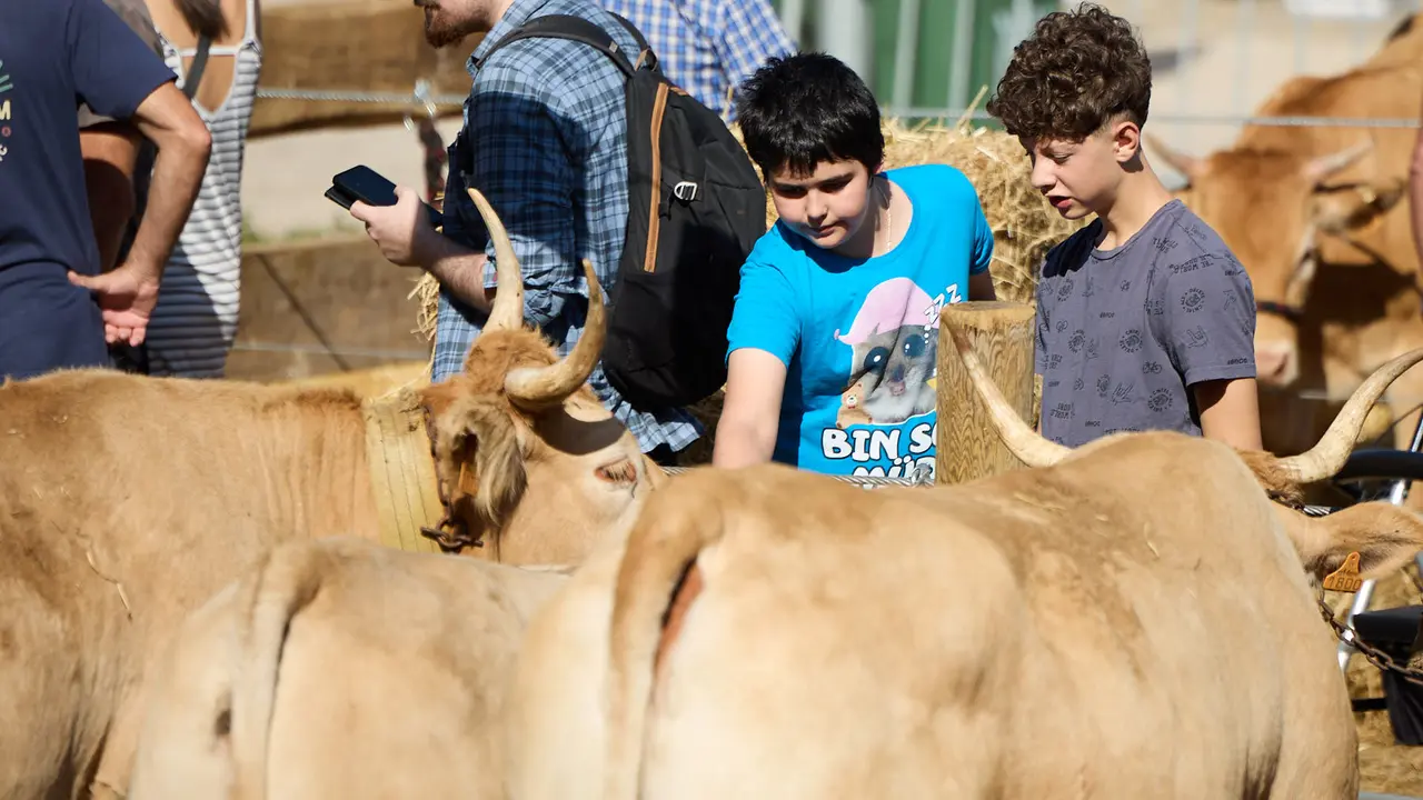 Feria de ganado Autentika de razas autóctonas navarras en el parque de la Runa de Pamplona. IÑIGO ALZUGARAY