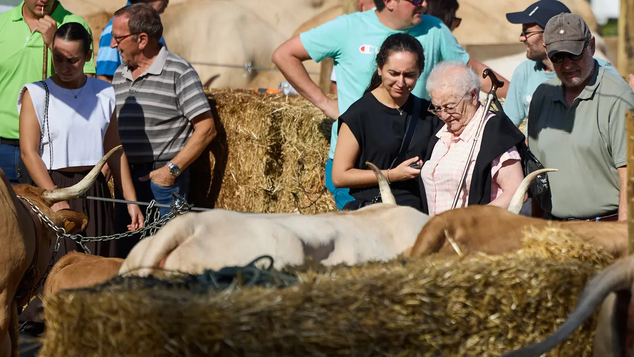 Feria de ganado Autentika de razas autóctonas navarras en el parque de la Runa de Pamplona. IÑIGO ALZUGARAY