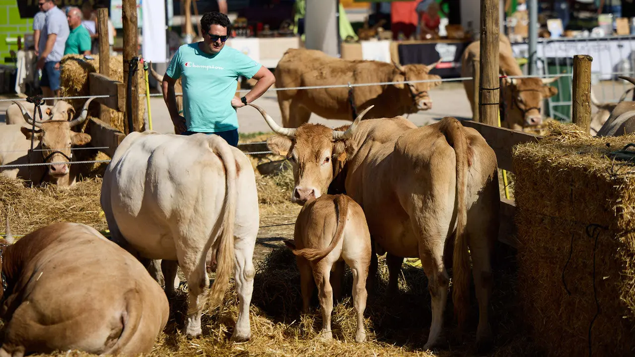 Feria de ganado Autentika de razas autóctonas navarras en el parque de la Runa de Pamplona. IÑIGO ALZUGARAY