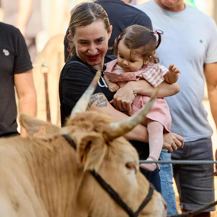 Feria de ganado Autentika de razas autóctonas navarras en el parque de la Runa de Pamplona. IÑIGO ALZUGARAY