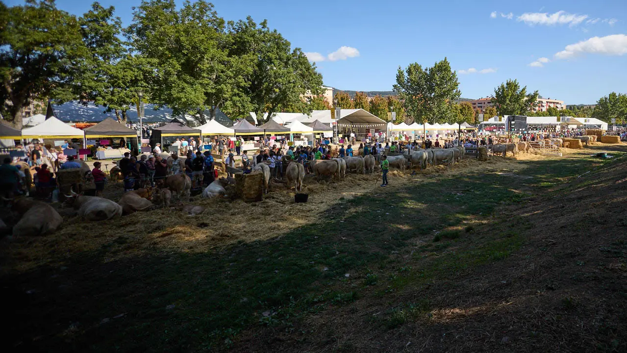 Feria de ganado Autentika de razas autóctonas navarras en el parque de la Runa de Pamplona. IÑIGO ALZUGARAY