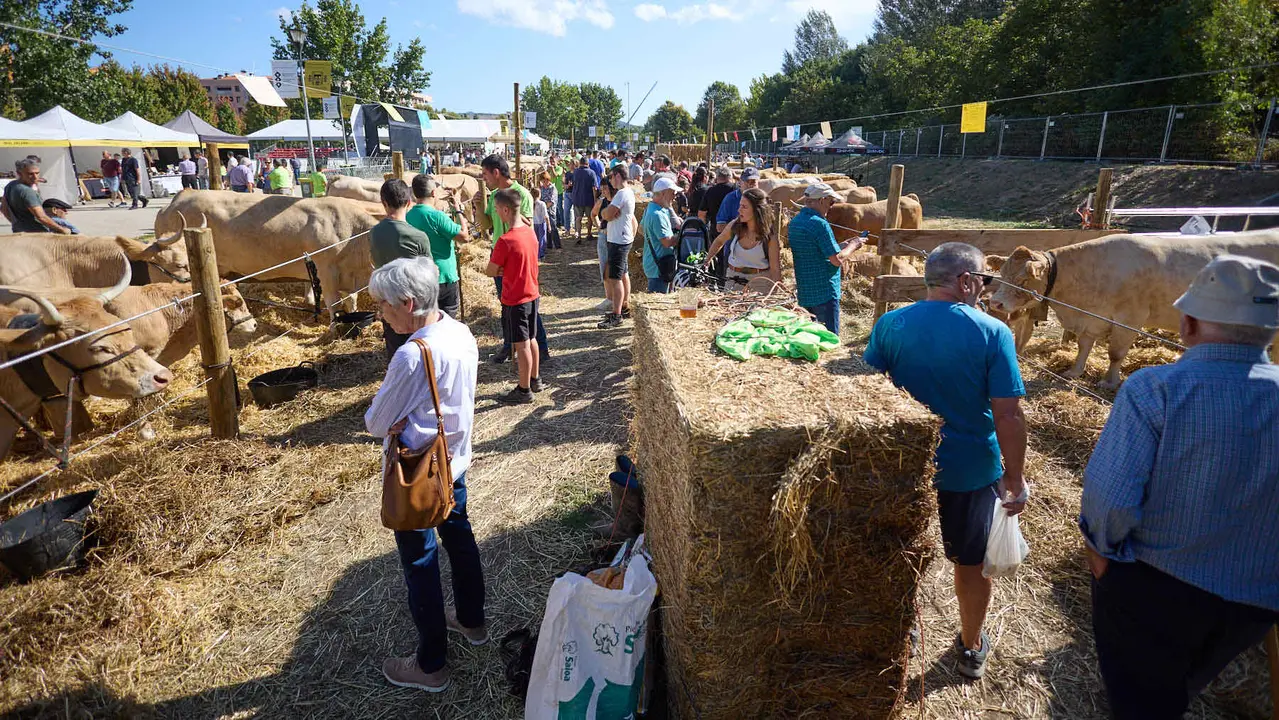 Feria de ganado Autentika de razas autóctonas navarras en el parque de la Runa de Pamplona. IÑIGO ALZUGARAY