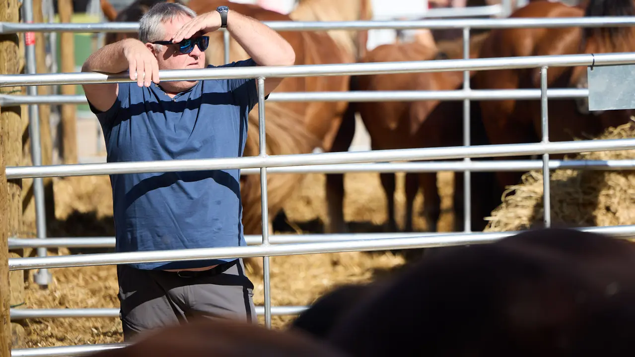 Feria de ganado Autentika de razas autóctonas navarras en el parque de la Runa de Pamplona. IÑIGO ALZUGARAY