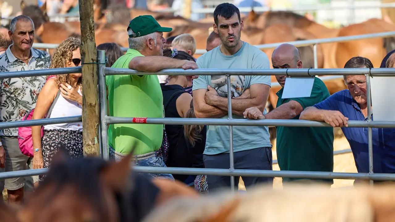 Feria de ganado Autentika de razas autóctonas navarras en el parque de la Runa de Pamplona. IÑIGO ALZUGARAY