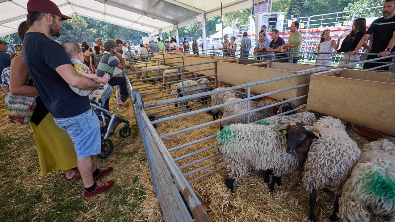 Feria de ganado Autentika de razas autóctonas navarras en el parque de la Runa de Pamplona. IÑIGO ALZUGARAY