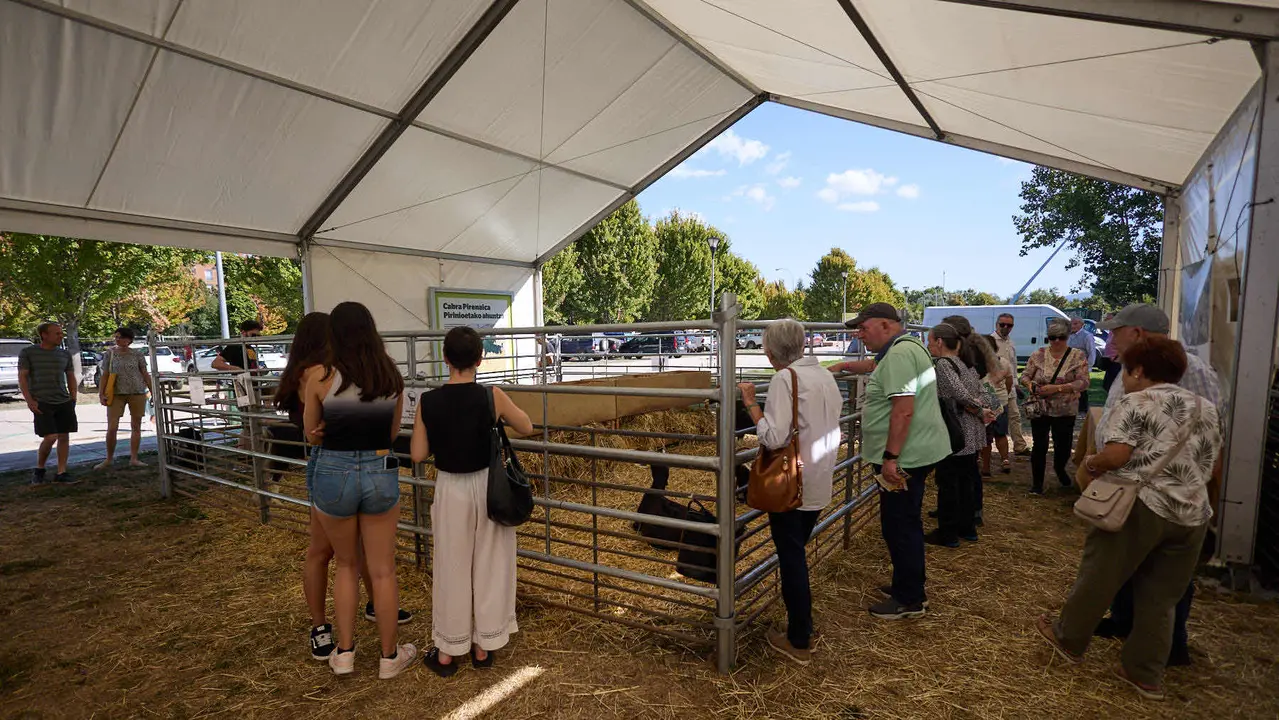 Feria de ganado Autentika de razas autóctonas navarras en el parque de la Runa de Pamplona. IÑIGO ALZUGARAY