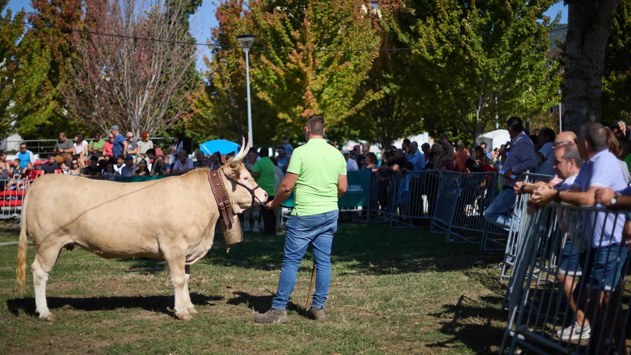 Feria de ganado Autentika de razas autóctonas navarras en el parque de la Runa de Pamplona. IÑIGO ALZUGARAY