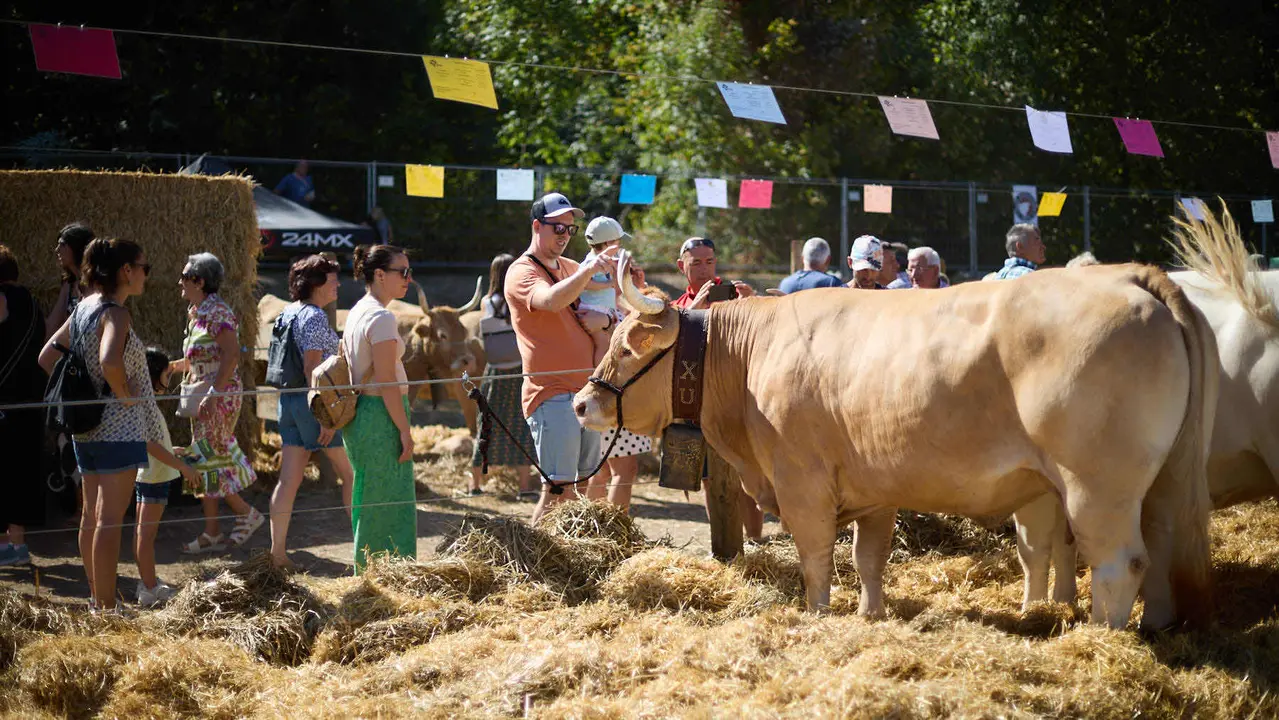 Feria de ganado Autentika de razas autóctonas navarras en el parque de la Runa de Pamplona. IÑIGO ALZUGARAY