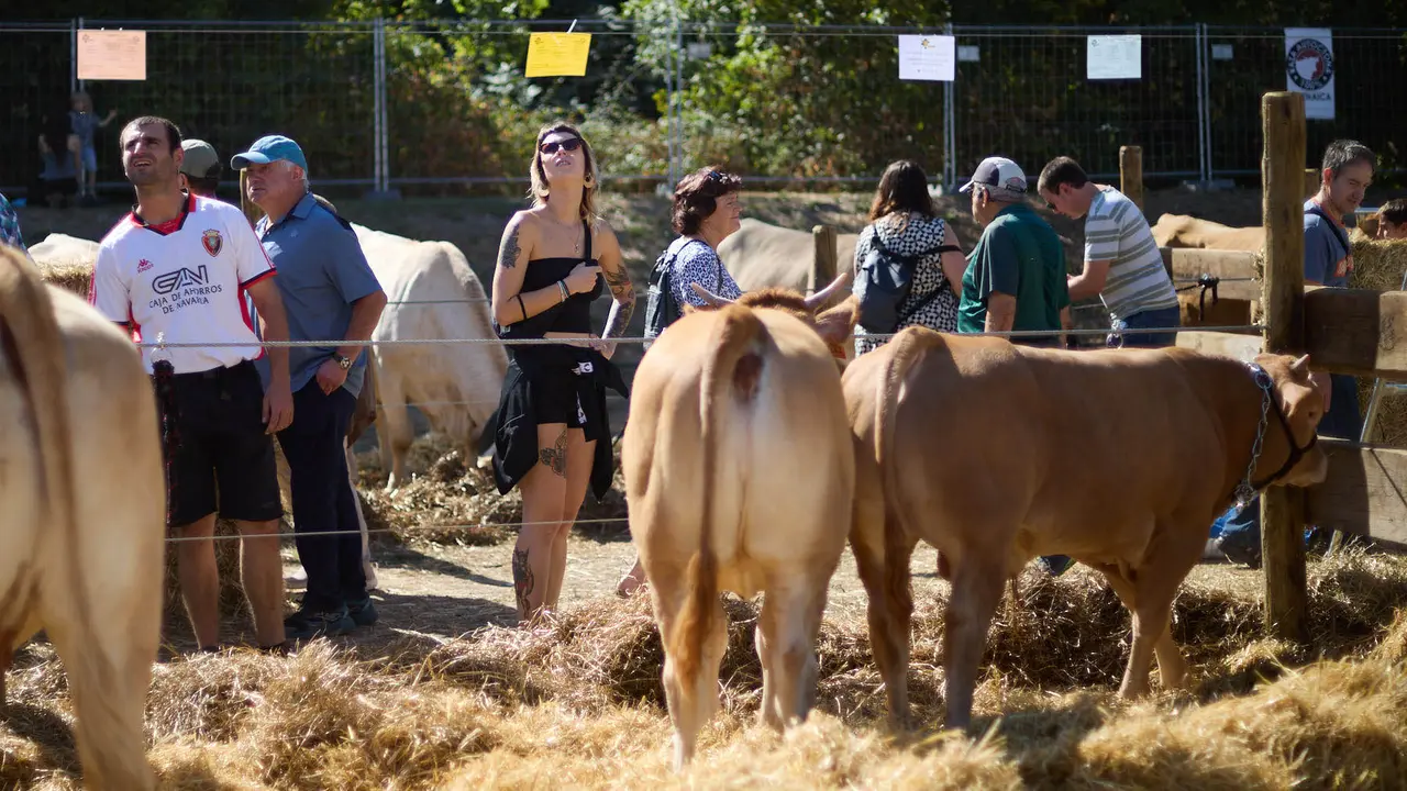 Feria de ganado Autentika de razas autóctonas navarras en el parque de la Runa de Pamplona. IÑIGO ALZUGARAY