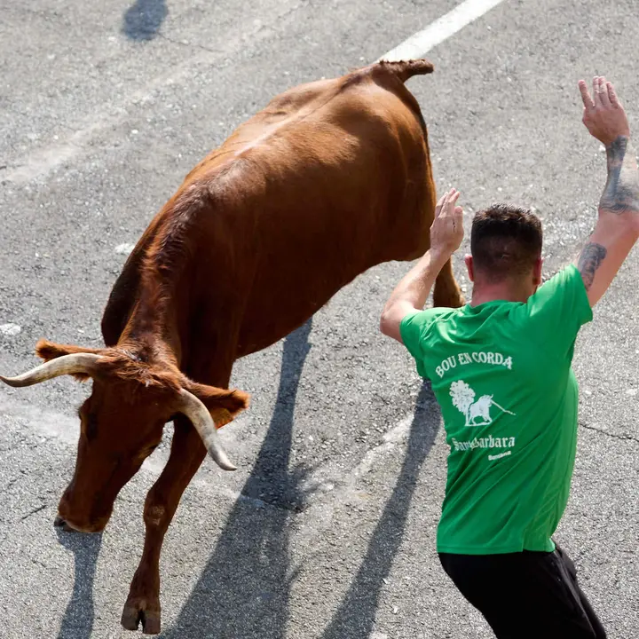 Suelta de vaquillas de la ganadería de Hermanos Ganuza en el casco antiguo durante las fiestas de Zizur Mayor 2025. IÑIGO ALZUGARAY