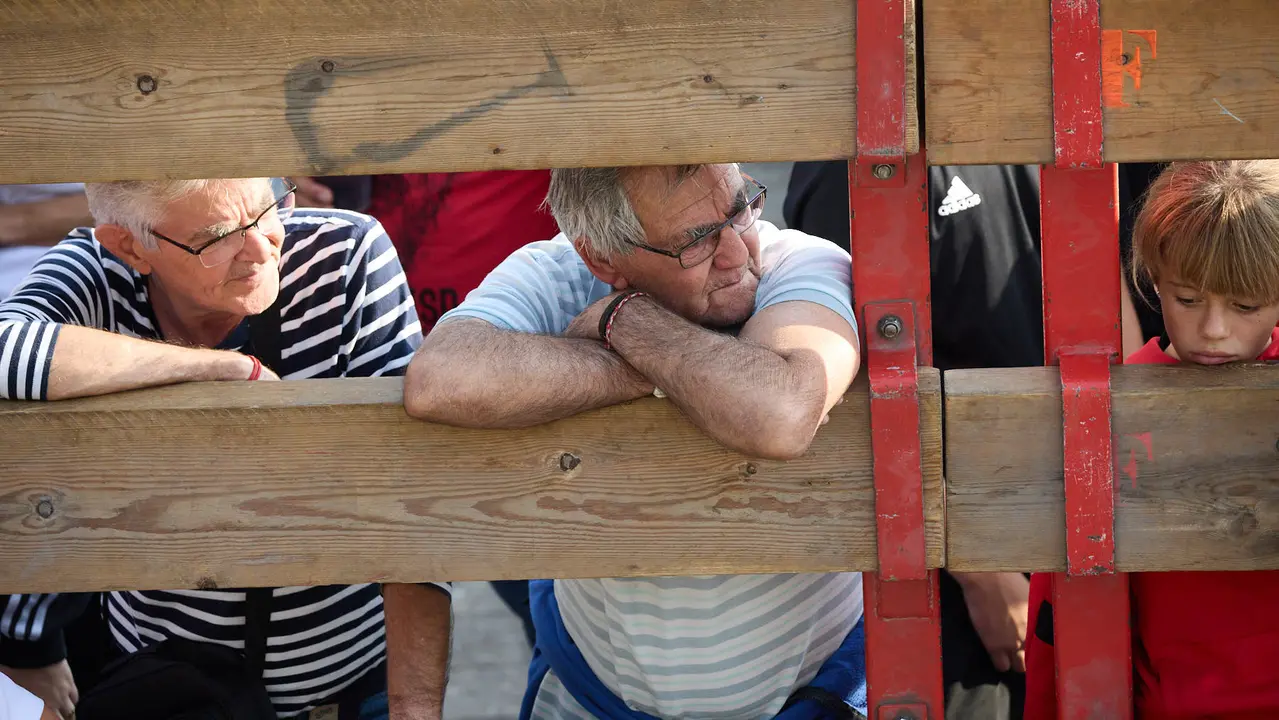 Suelta de vaquillas de la ganadería de Hermanos Ganuza en el casco antiguo durante las fiestas de Zizur Mayor 2025. IÑIGO ALZUGARAY
