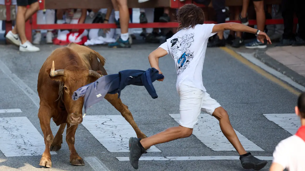 Suelta de vaquillas de la ganadería de Hermanos Ganuza en el casco antiguo durante las fiestas de Zizur Mayor 2025. IÑIGO ALZUGARAY
