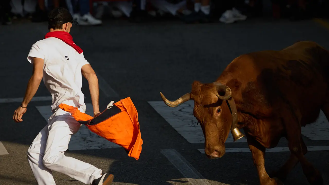 Suelta de vaquillas de la ganadería de Hermanos Ganuza en el casco antiguo durante las fiestas de Zizur Mayor 2025. IÑIGO ALZUGARAY