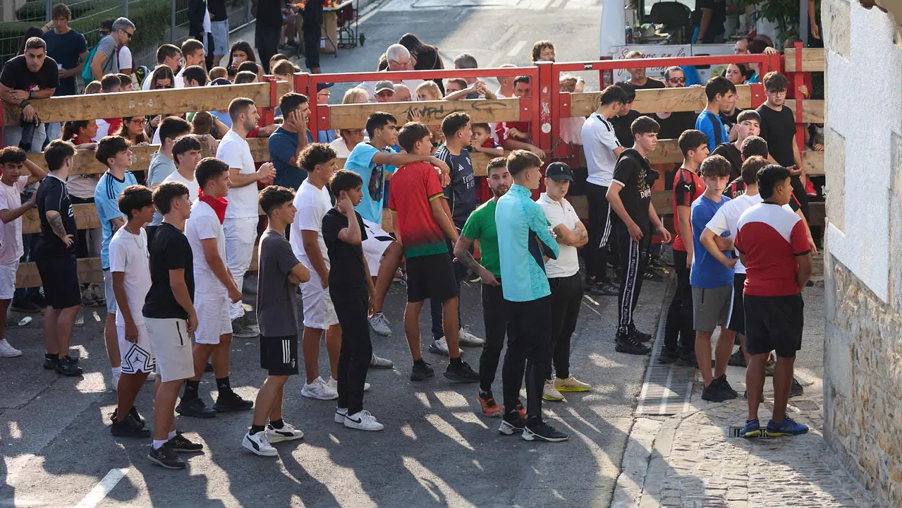 Suelta de vaquillas de la ganadería de Hermanos Ganuza en el casco antiguo durante las fiestas de Zizur Mayor 2025. IÑIGO ALZUGARAY