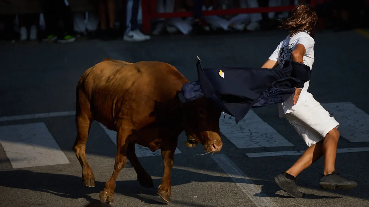 Suelta de vaquillas de la ganadería de Hermanos Ganuza en el casco antiguo durante las fiestas de Zizur Mayor 2025. IÑIGO ALZUGARAY