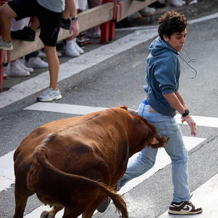 Suelta de vaquillas de la ganadería de Hermanos Ganuza en el casco antiguo durante las fiestas de Zizur Mayor 2025. IÑIGO ALZUGARAY