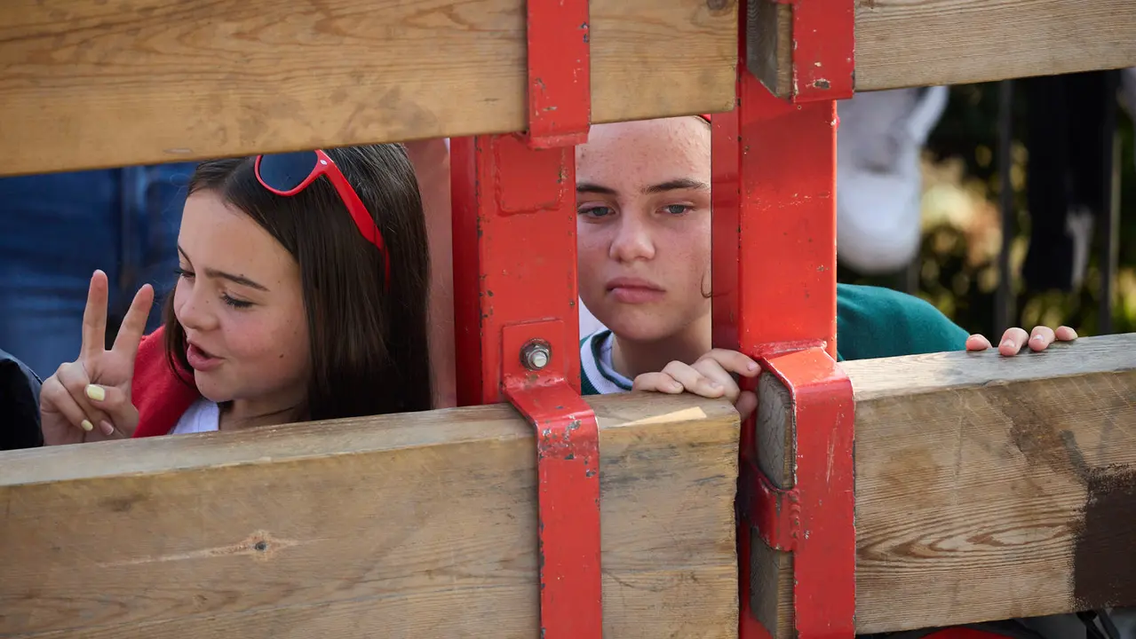 Suelta de vaquillas de la ganadería de Hermanos Ganuza en el casco antiguo durante las fiestas de Zizur Mayor 2025. IÑIGO ALZUGARAY