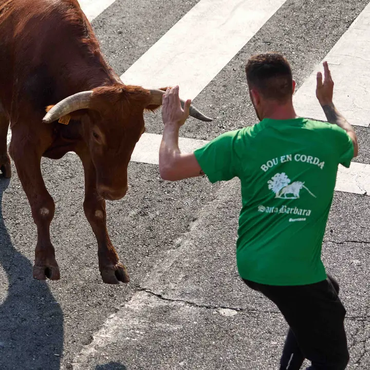 Suelta de vaquillas de la ganadería de Hermanos Ganuza en el casco antiguo durante las fiestas de Zizur Mayor 2025. IÑIGO ALZUGARAY
