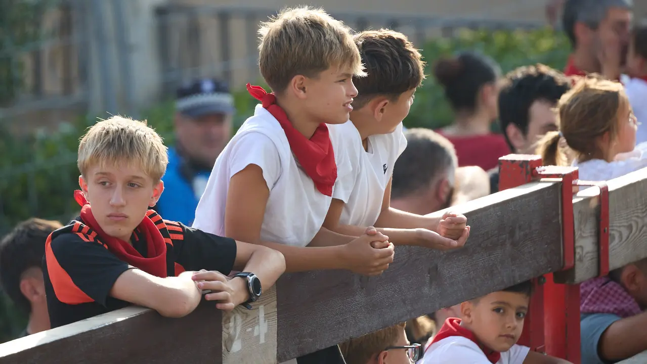 Suelta de vaquillas de la ganadería de Hermanos Ganuza en el casco antiguo durante las fiestas de Zizur Mayor 2025. IÑIGO ALZUGARAY