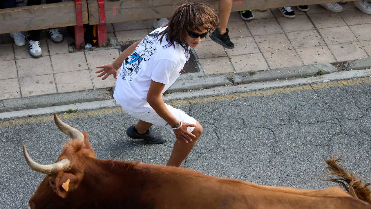 Suelta de vaquillas de la ganadería de Hermanos Ganuza en el casco antiguo durante las fiestas de Zizur Mayor 2025. IÑIGO ALZUGARAY