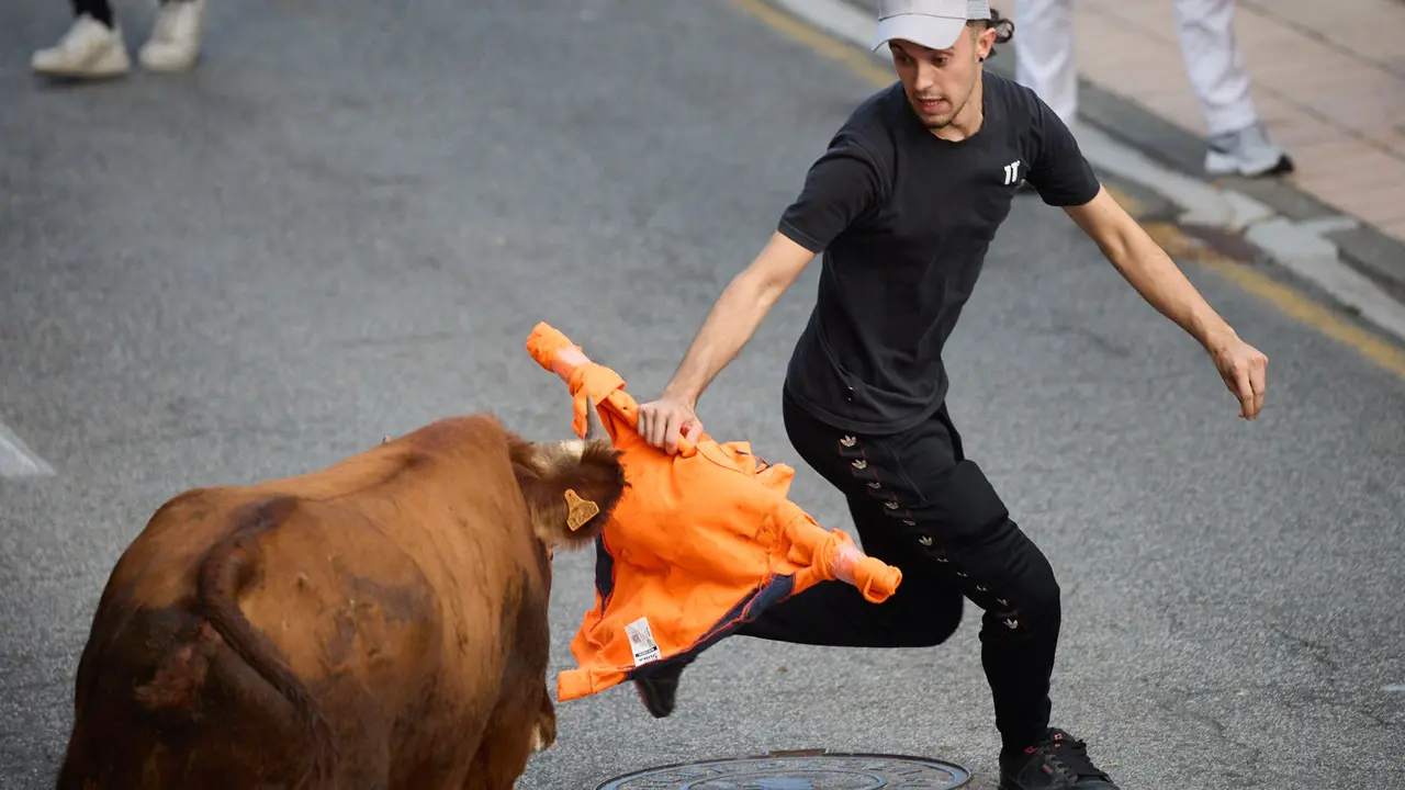 Suelta de vaquillas de la ganadería de Hermanos Ganuza en el casco antiguo durante las fiestas de Zizur Mayor 2025. IÑIGO ALZUGARAY