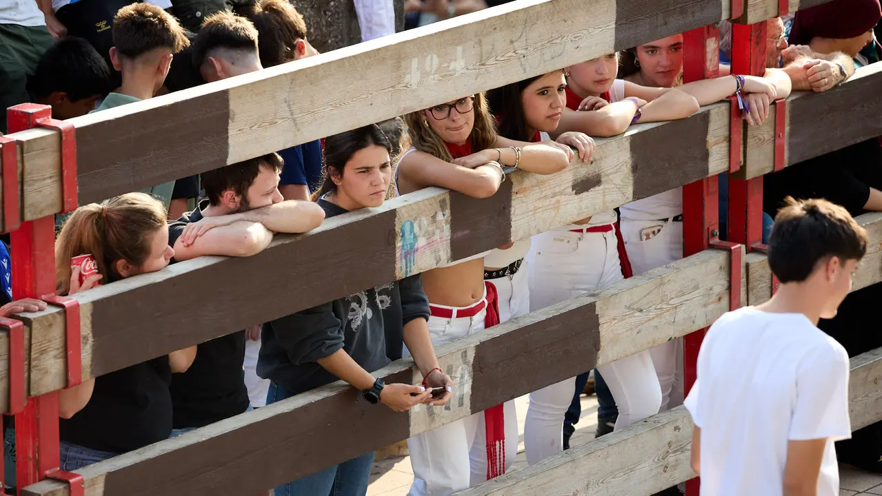 Suelta de vaquillas de la ganadería de Hermanos Ganuza en el casco antiguo durante las fiestas de Zizur Mayor 2025. IÑIGO ALZUGARAY