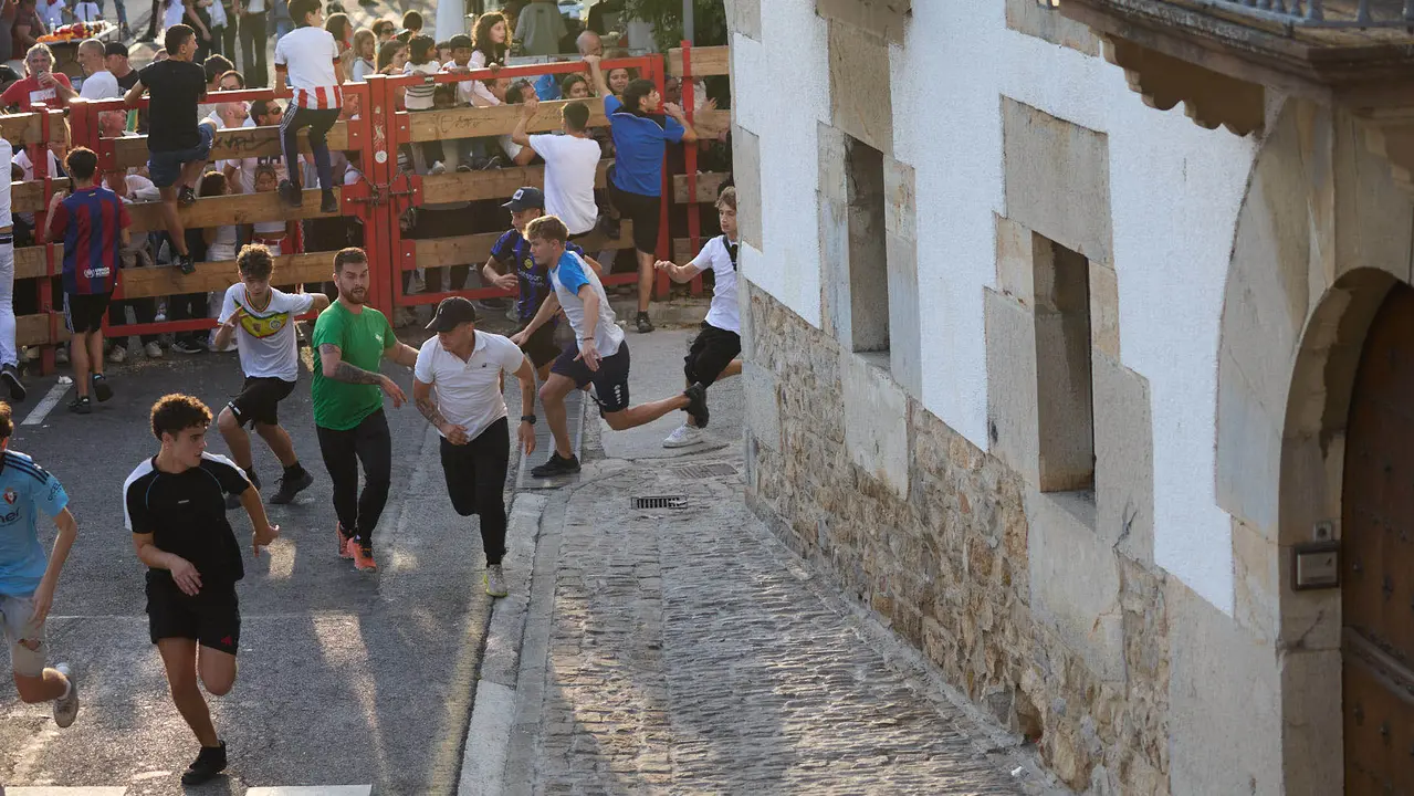 Suelta de vaquillas de la ganadería de Hermanos Ganuza en el casco antiguo durante las fiestas de Zizur Mayor 2025. IÑIGO ALZUGARAY