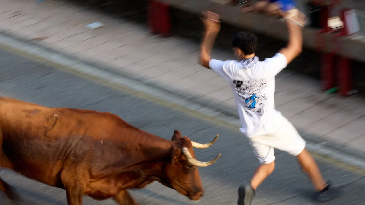Suelta de vaquillas de la ganadería de Hermanos Ganuza en el casco antiguo durante las fiestas de Zizur Mayor 2025. IÑIGO ALZUGARAY