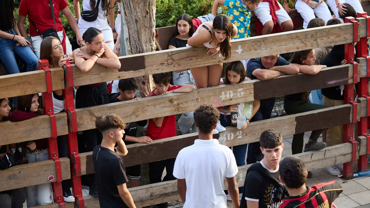 Suelta de vaquillas de la ganadería de Hermanos Ganuza en el casco antiguo durante las fiestas de Zizur Mayor 2025. IÑIGO ALZUGARAY